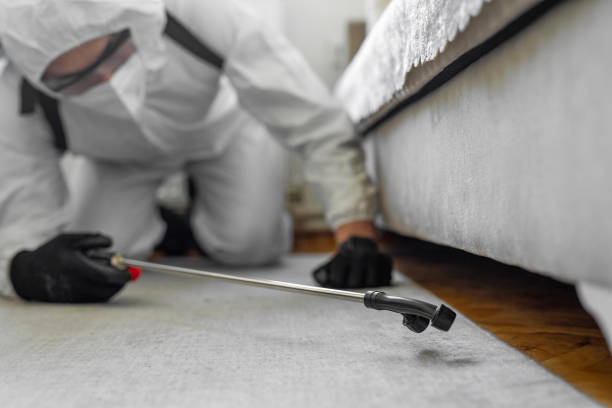 Professional Cockroach Control technician working in La Verne, CA
